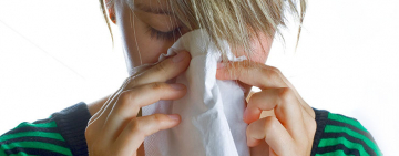 <br />
<b>Warning</b>:  Undefined variable $full_image_alt_txt in <b>/homepages/46/d207645388/htdocs/viesaineetzen.com/templates/shaper_gazette/html/layouts/joomla/content/intro_image.php</b> on line <b>70</b><br />
