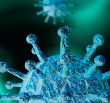 <br />
<b>Warning</b>:  Undefined variable $full_image_alt_txt in <b>/homepages/46/d207645388/htdocs/viesaineetzen.com/templates/shaper_gazette/html/layouts/joomla/content/intro_image.php</b> on line <b>70</b><br />
