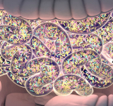 <br />
<b>Warning</b>:  Undefined variable $full_image_alt_txt in <b>/homepages/46/d207645388/htdocs/viesaineetzen.com/templates/shaper_gazette/html/layouts/joomla/content/intro_image.php</b> on line <b>70</b><br />
