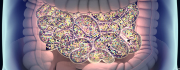 <br />
<b>Warning</b>:  Undefined variable $full_image_alt_txt in <b>/homepages/46/d207645388/htdocs/viesaineetzen.com/templates/shaper_gazette/html/layouts/joomla/content/intro_image.php</b> on line <b>70</b><br />
