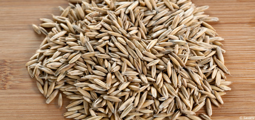 Le seigle : blé d'Allah