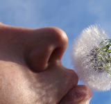 <br />
<b>Warning</b>:  Undefined variable $full_image_alt_txt in <b>/homepages/46/d207645388/htdocs/viesaineetzen.com/templates/shaper_gazette/html/layouts/joomla/content/intro_image.php</b> on line <b>70</b><br />
