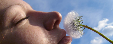 <br />
<b>Warning</b>:  Undefined variable $full_image_alt_txt in <b>/homepages/46/d207645388/htdocs/viesaineetzen.com/templates/shaper_gazette/html/layouts/joomla/content/intro_image.php</b> on line <b>70</b><br />
