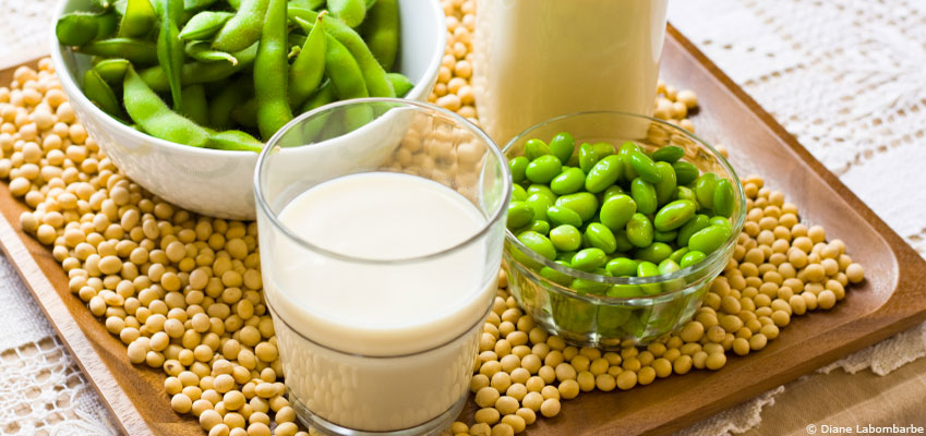 Alimentation : comment consommer du soja sans risques pour la santé