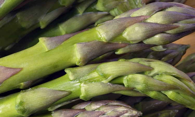 L'asperge, légume de printemps
