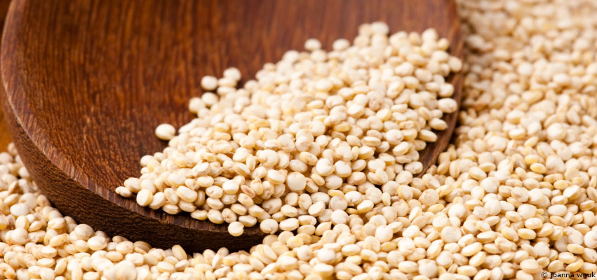 Le quinoa : la graine mère