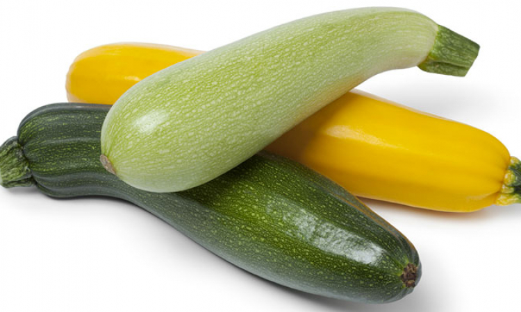 La courgette, légume d'été