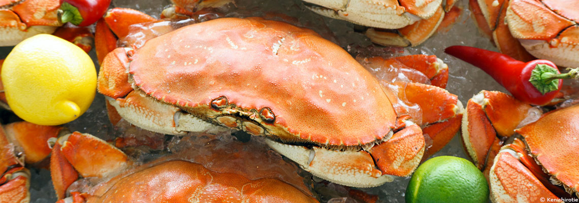 Le crabe : plaisir du raffinement