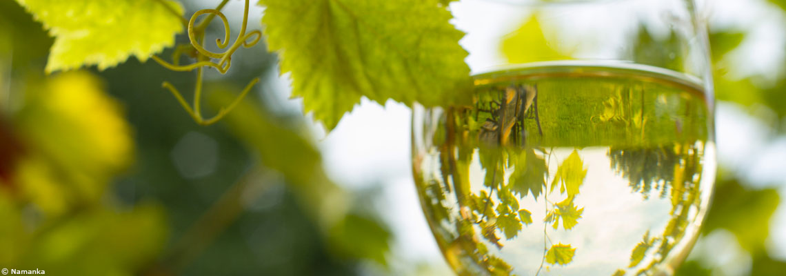 Vins de Bourgogne : sur les chemins magiques de la biodynamie