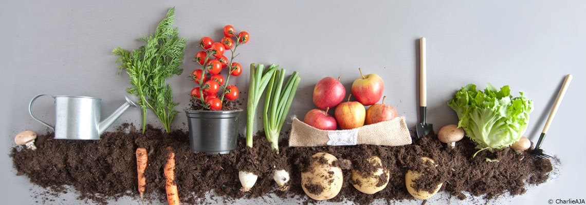 Manger moins mais mieux : le vrai sens de la sobriété alimentaire