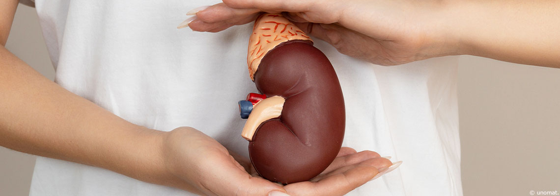 Hormone du stress : réguler l’excès de cortisol