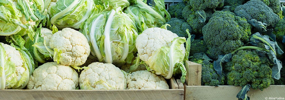 Trop de choux-fleurs et pas de clients, les légumiers de France rencontrent une crise "catastrophique"