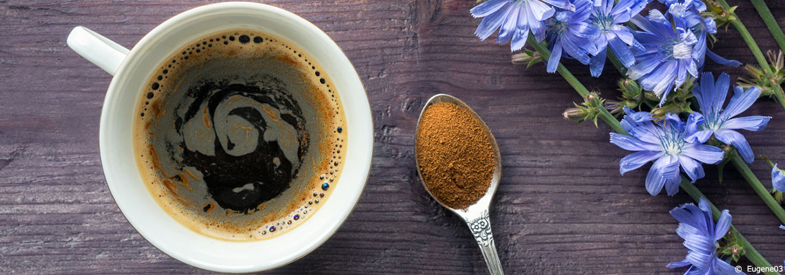 Chicorée, café d’orge ou de lupin : quelles sont les alternatives au café les plus écologiques ?