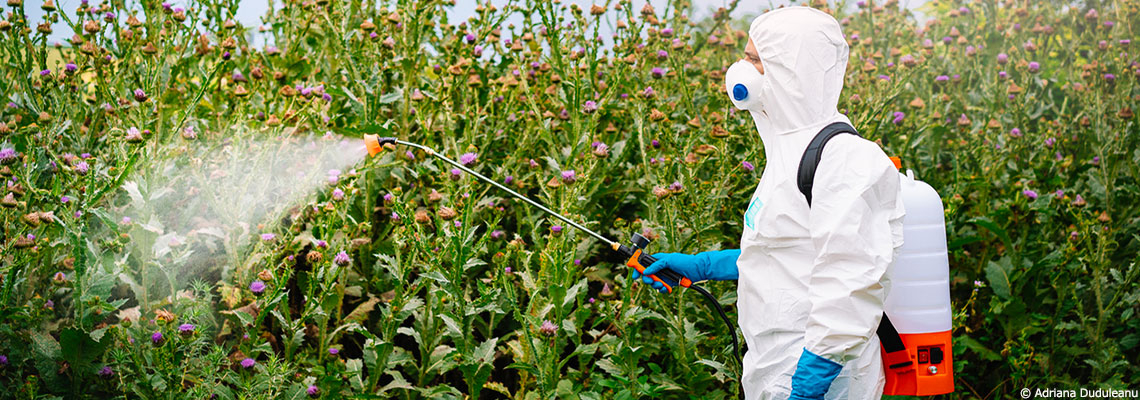 "Monsanto a construit de la fausse science pour vendre ses pesticides"