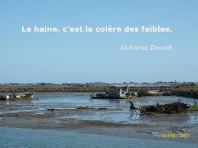 La Colere Des Faibles V2