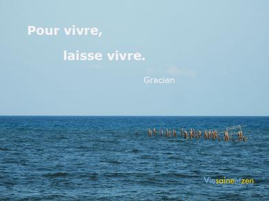 Laisse Vivre