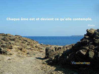 Ce Quelle Contemple V2