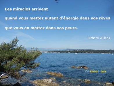 Miracles Reves Et Peurs V2