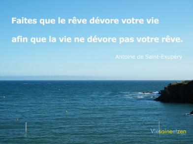 Reve Devore La Vie